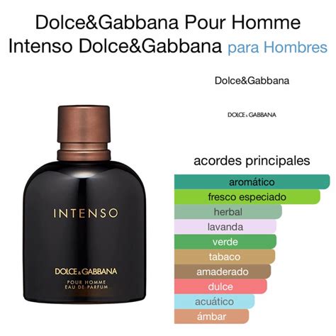 dolce gabbana pour homme parfüm yorumları|dolce and gabbana intenso notes.